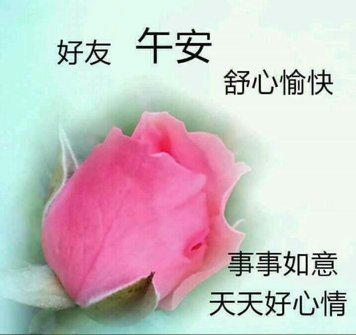 午安圖下載